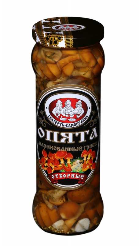 5fccc44b9ea2397e39041656b7d29074