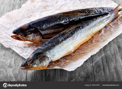 4729