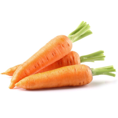 1336